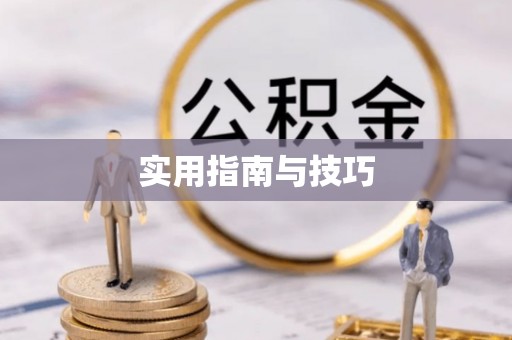普安实用指南与技巧