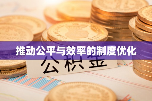 普安推动公平与效率的制度优化