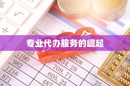 普安专业代办服务的崛起