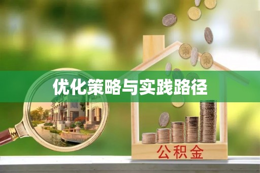 普安优化策略与实践路径