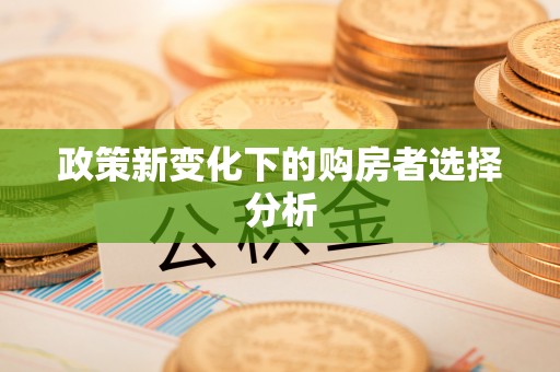 普安政策新变化下的购房者选择分析
