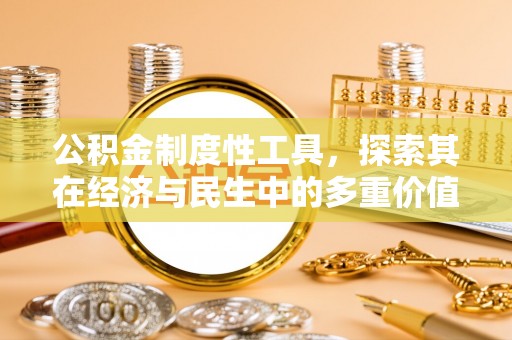 普安公积金制度性工具，探索其在经济与民生中的多重价值