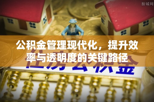 普安公积金管理现代化，提升效率与透明度的关键路径