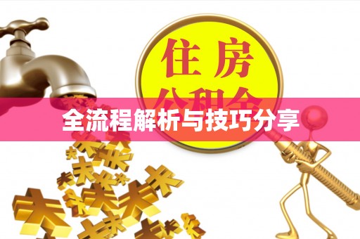 普安全流程解析与技巧分享